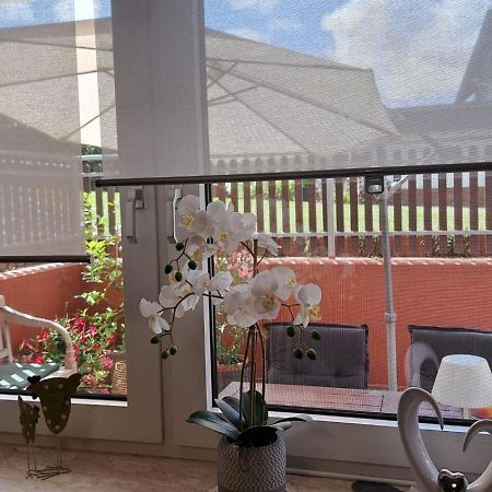 Ferienwohnung Am Reitersgaesschen Blankenrath Luaran gambar